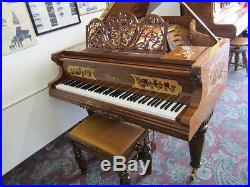 Bluthner Grand Antique Piano Art Case Vintage Rare The Only One Made