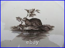 RARE Antique T FURNIVAL & Sons MAPLE BEAVER MAPLE LEAF 10 SOUP Plate VERY OLD
