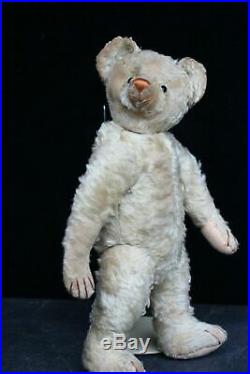 Rare Antique White Bing Teddy Bear 1910-1920 Antiker Weisser Bing Teddy Bär